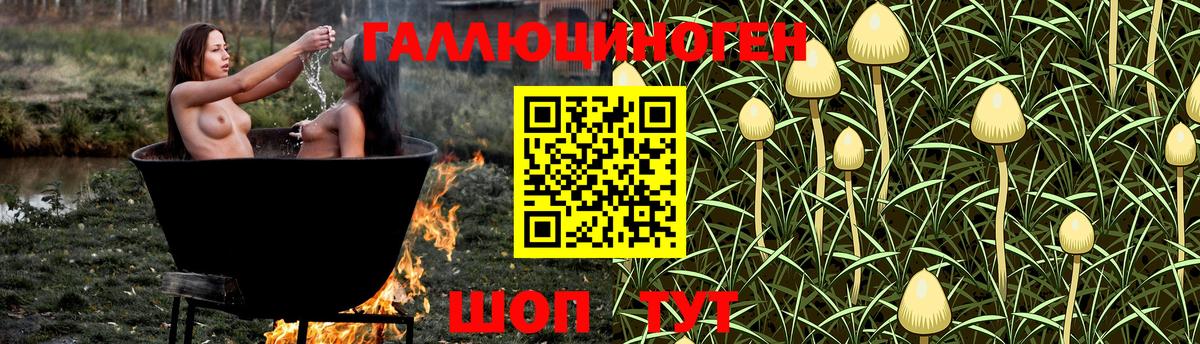 Галлюциногенные грибы мицелий Ипатово