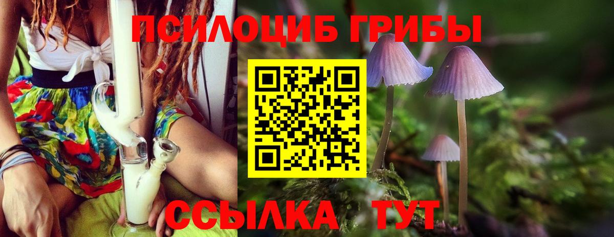 Ипатово  Псилоцибиновые грибы ЛСД  Вход с VPN 